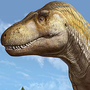 Dinosauria T-Rexia