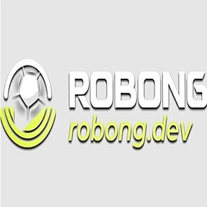 robongdev