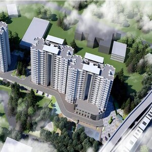 prestigegoldengrovve